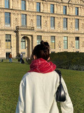 画像をギャラリービューアに読み込む, checked muffler