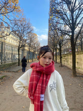 画像をギャラリービューアに読み込む, checked muffler