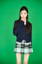 画像をギャラリービューアに読み込む, check belt mini skirt