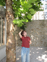 画像をギャラリービューアに読み込む, short sleeve polo